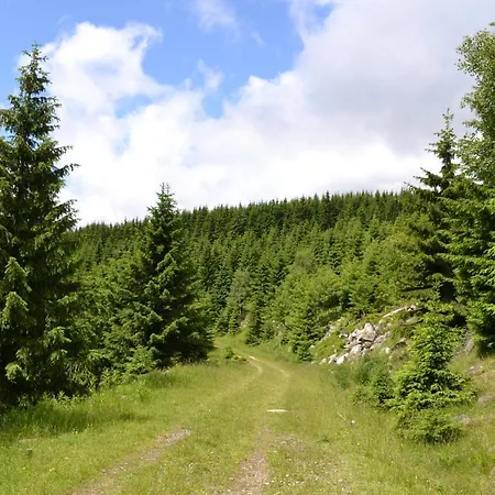 Panorama 2* Spindleruv Mlyn
