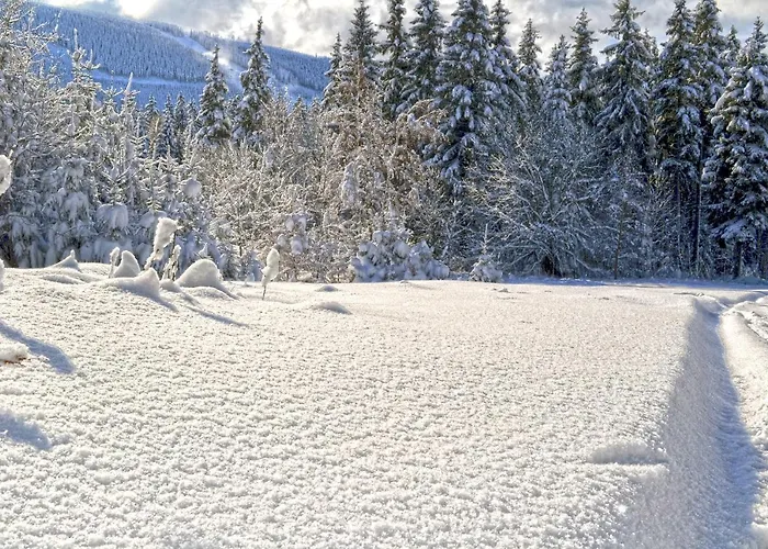 Hotell Panorama Špindlerŭv Mlýn